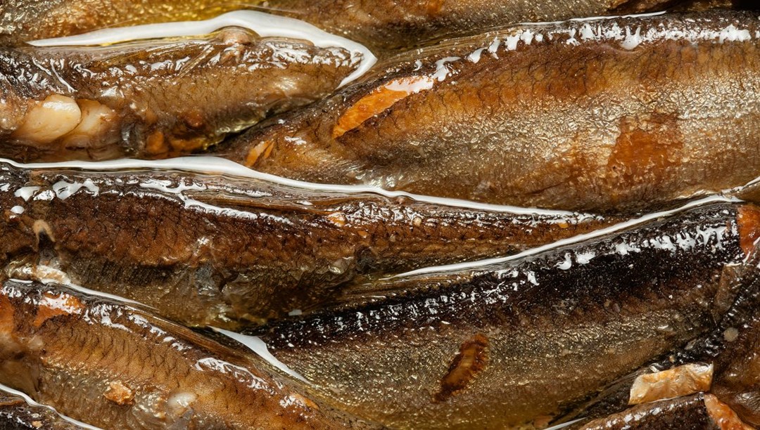 B12 vitamini en çok hangi besinlerde var? Beyin sağlığı için gerekli