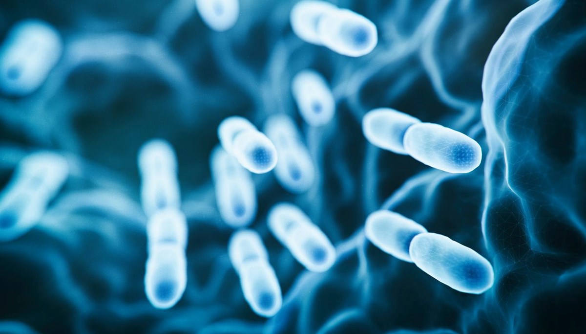 Menenjit nedir, belirtileri neler? Menenjit bulaşma yolları