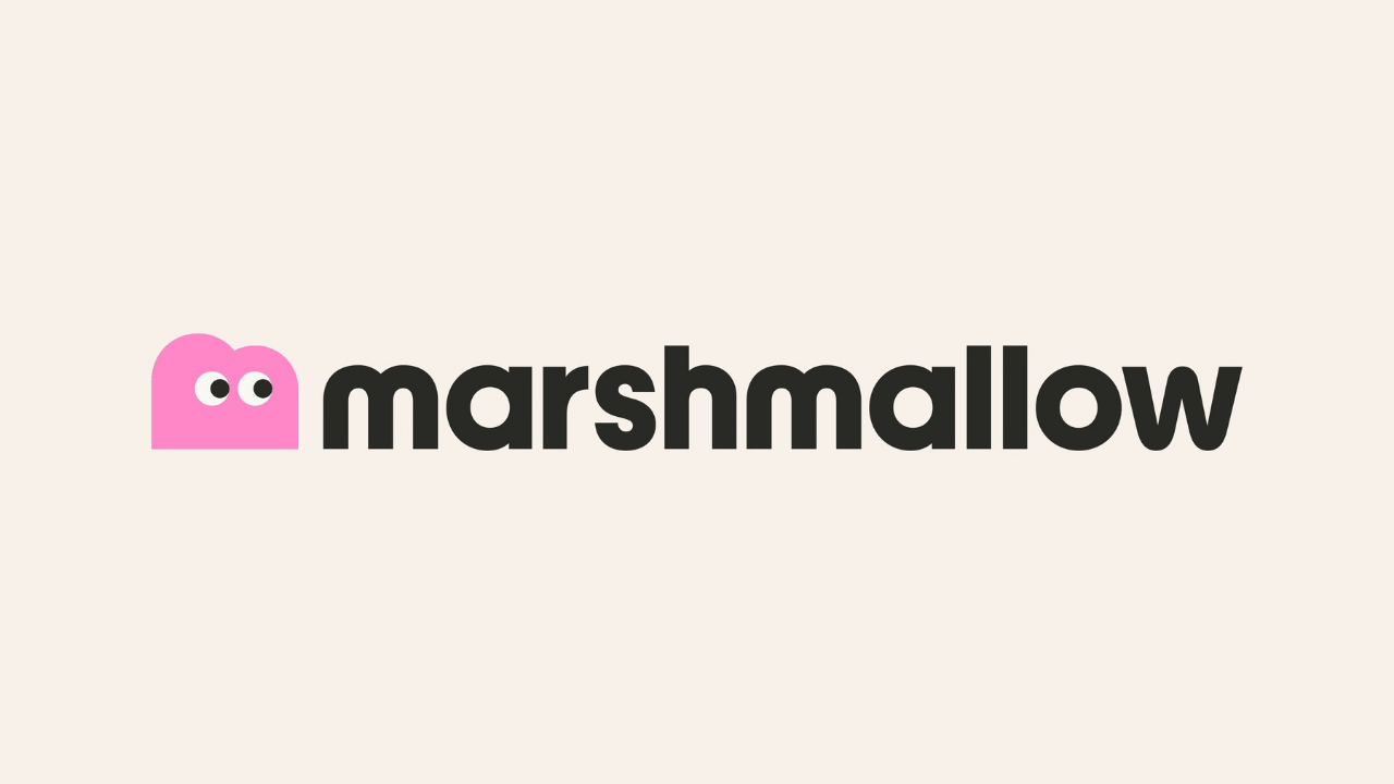 Marshmallow, 2 milyar dolar değerleme üzerinden 90 milyon dolar yatırım aldı
