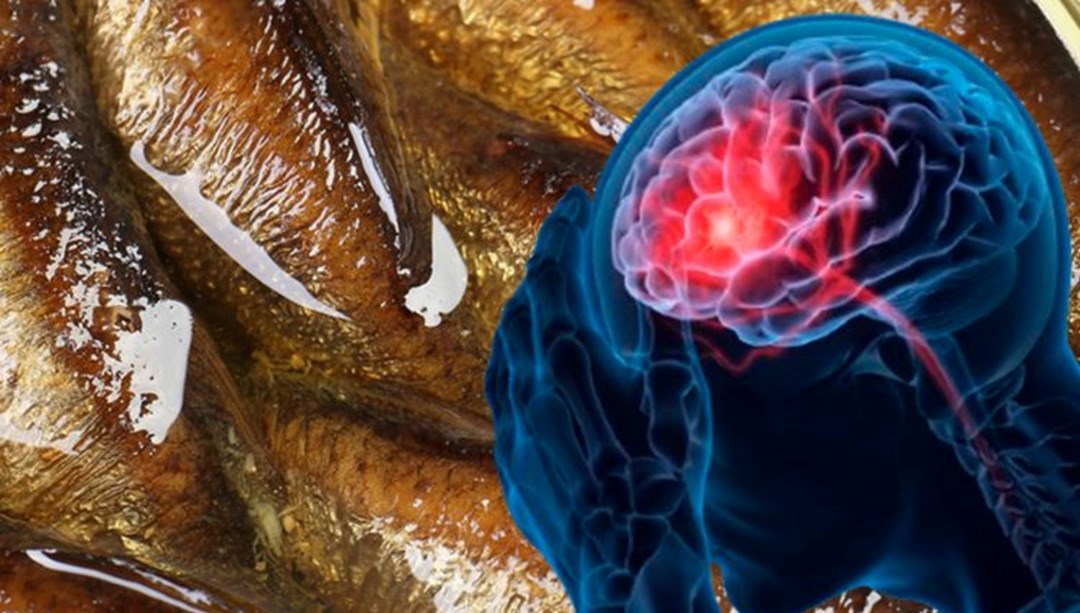 Hafızayı geliştiren 5 güçlü besin: Beyin sağlığı için her gün tüketilmesi gerekiyor