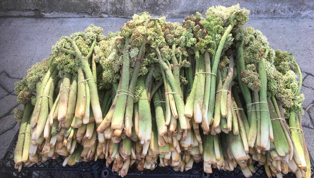 Tezgahta yerini aldı, ünü Amerika’ya kadar yayıldı: A, B1, B2, E, ve K vitamini deposu – Son Dakika Türkiye Haberleri