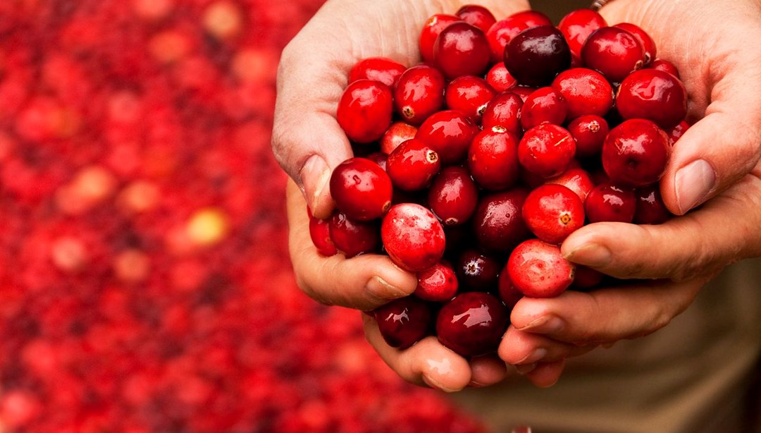 Uzun ömrün altın anahtarı: Yaşam süresini onlarca yıl uzatabilir