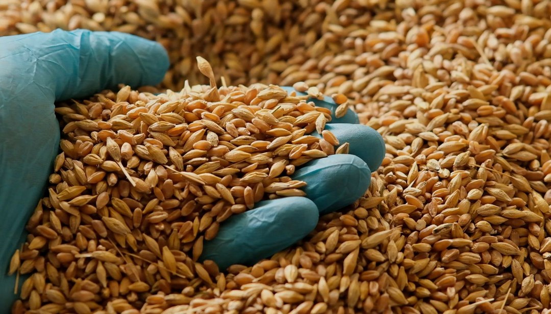 Uzman doktor açıkladı: Kalp hastalığı riskini azaltan beslenme – Son Dakika Dünya Haberleri