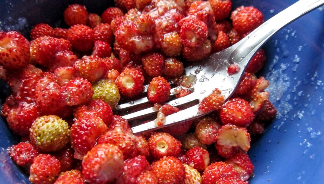 ABD’li gastroenterolog açıkladı: Bağırsaklar için 7 yiyecek