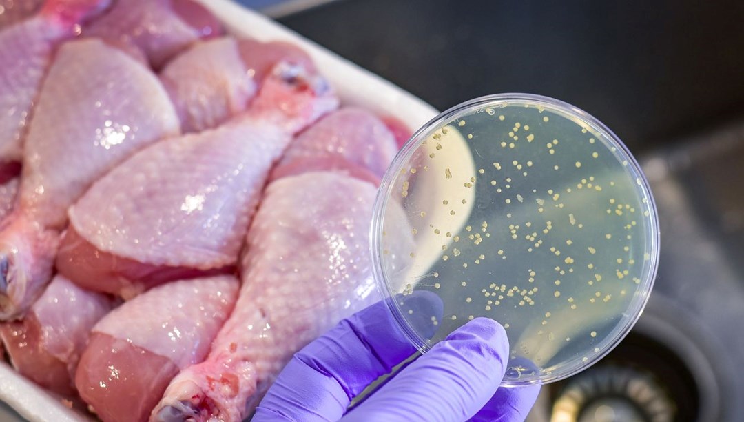 Gıda zehirlenmesi neden olur? Hayati riski var – Son Dakika Türkiye Haberleri