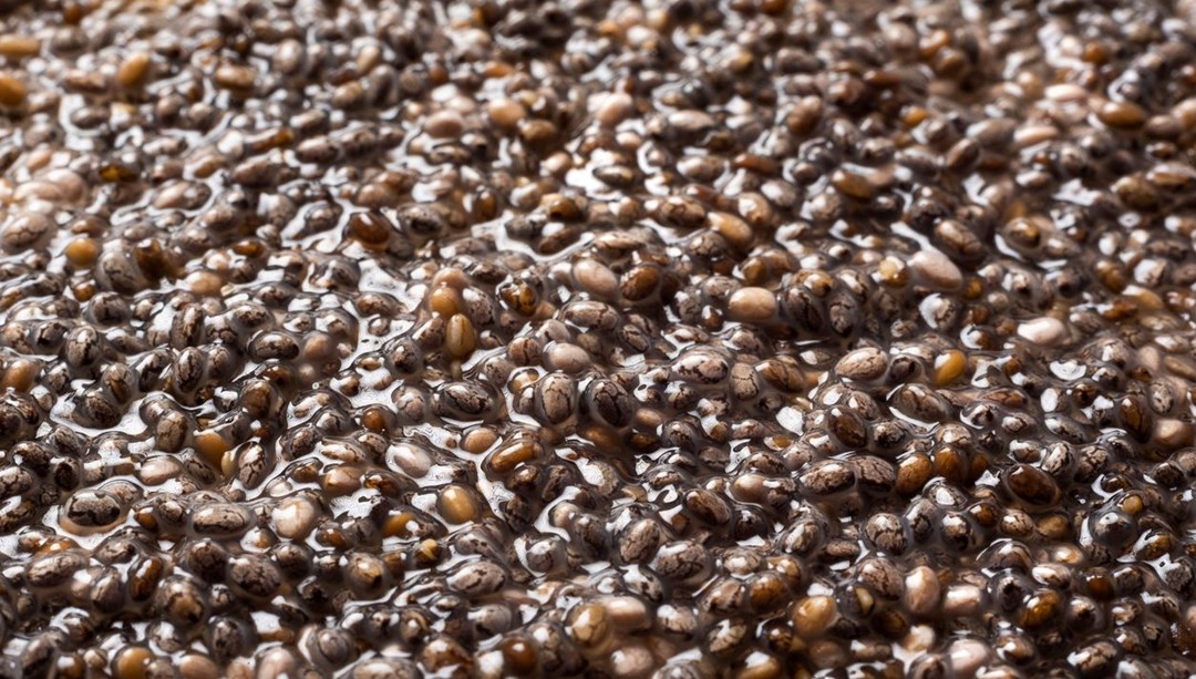 Sabah mı yoksa akşam mı: Chia tohumlarını yemek için en iyi zaman – Son Dakika Yaşam Haberleri