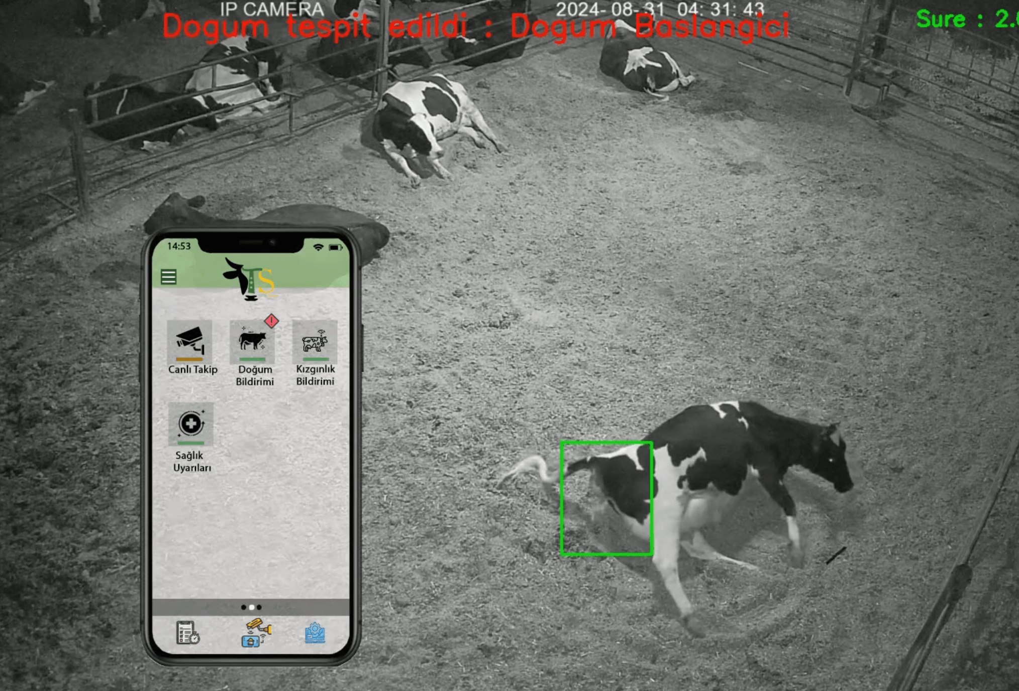 Yapay zeka destekli sürü yönetim platformu: Tekno Sürüm