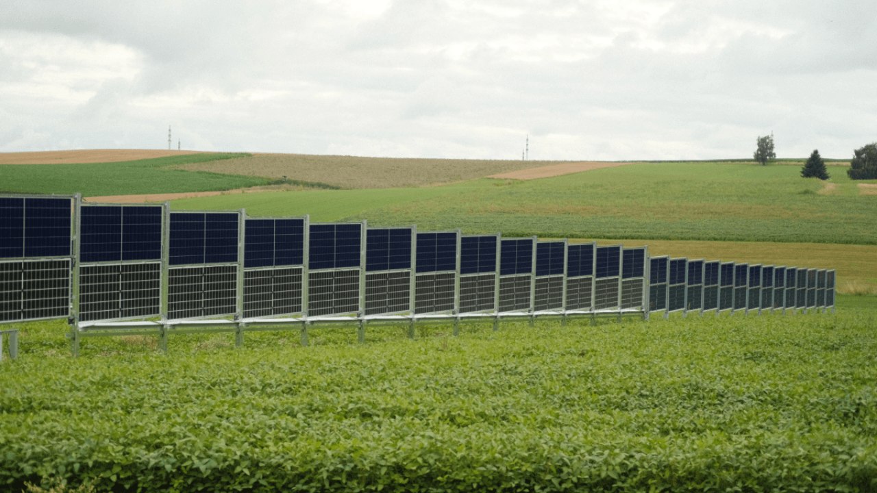 Tarım teknolojisi girişimi feld.energy, 10 milyon euro’dan fazla yatırım aldı