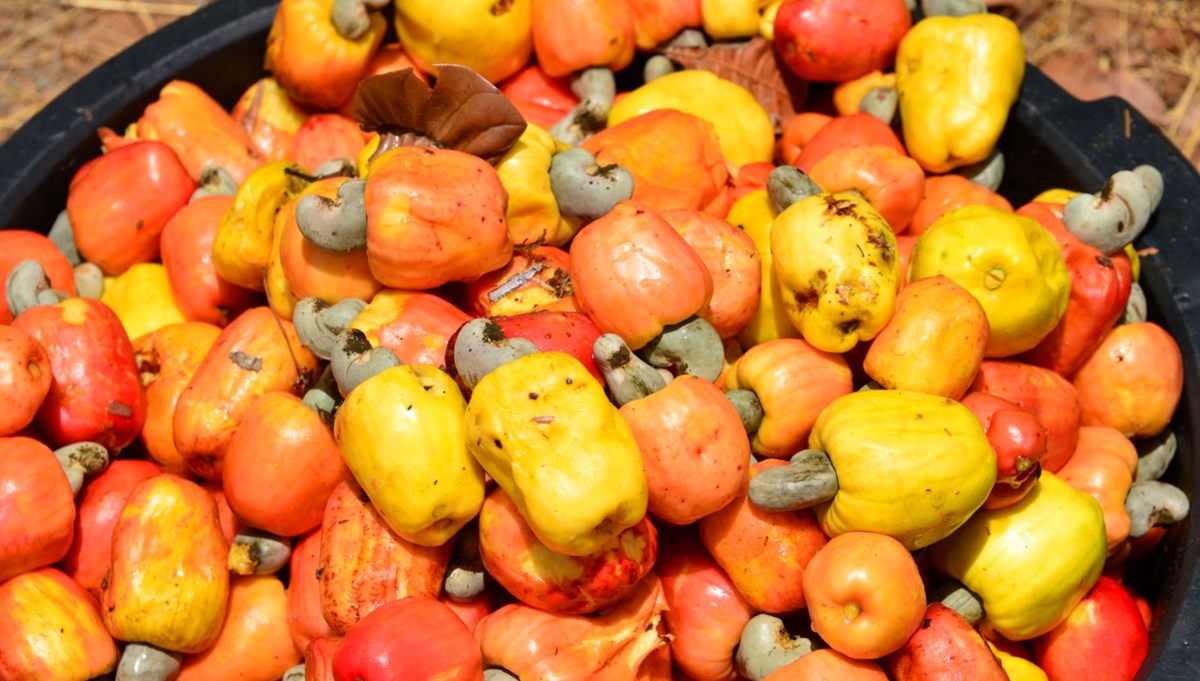 Doğanın zihin açıcıları: Beyni ve hafızayı geliştiriyor