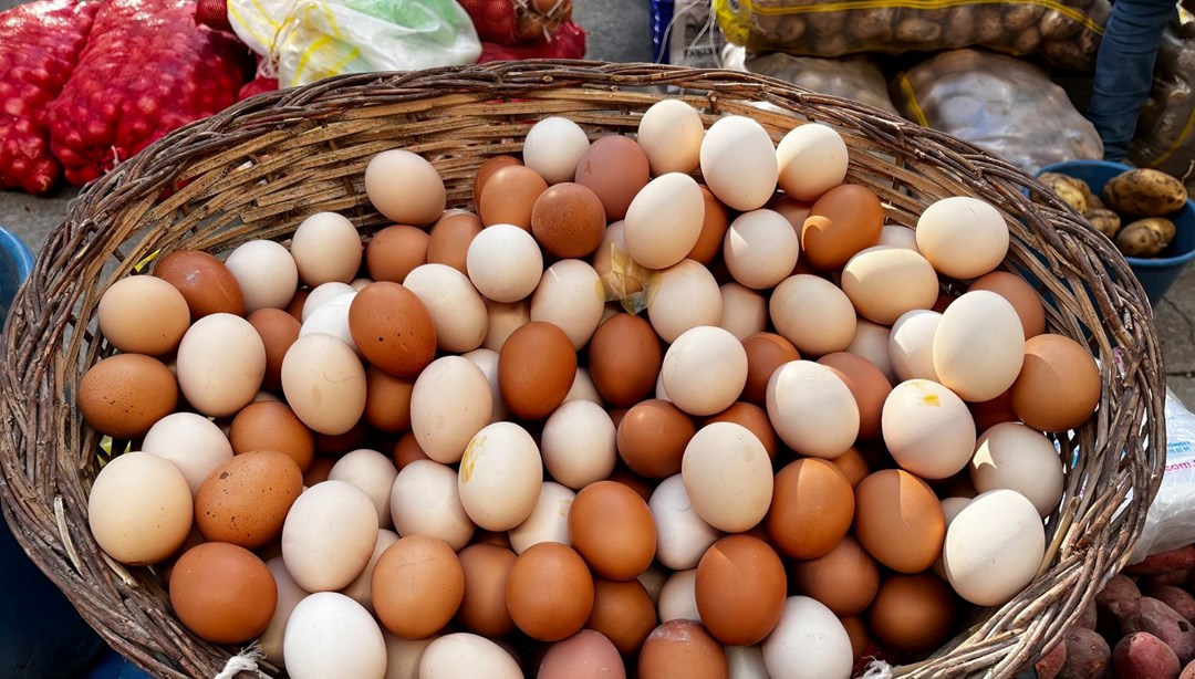Kahverengi ve beyaz: Yumurtalar arasında fark var mı?