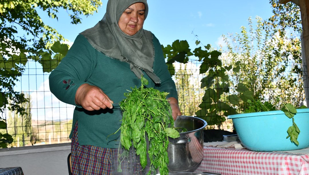 Taze naneden üretiliyor, 1 kaşığı nefes açıyor: Şişesi 200 lira