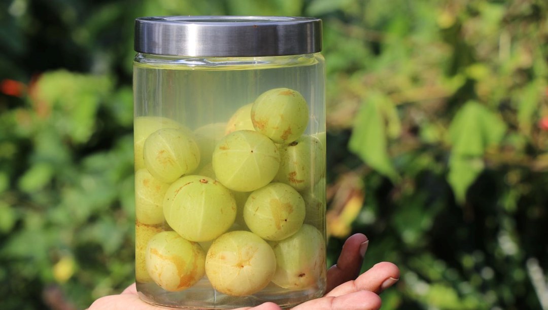 Yüksek tansiyonu kontrol etmeye yardımcı: Sabahları tüketmek gerekiyor