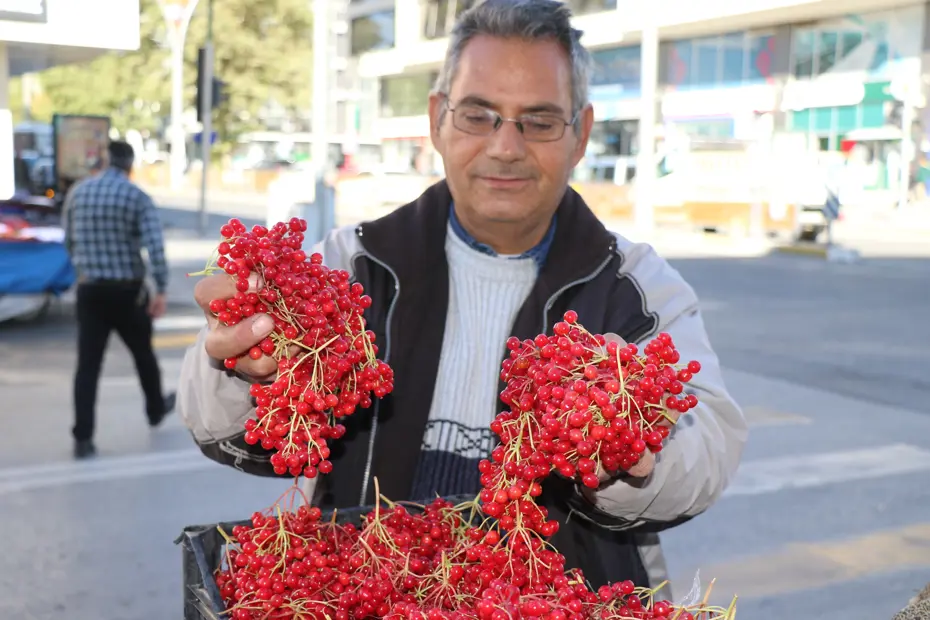 Ona halk arasında "gençlik iksiri" deniyor: Kendiliğinden yetişen meyve tezgahta