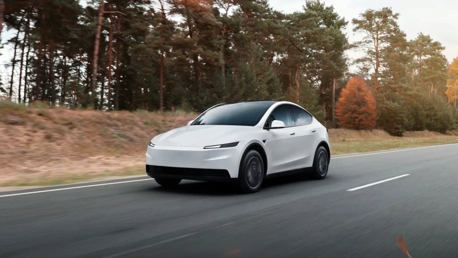 Tesla Model Y Standard Türkiye mağazalarında!