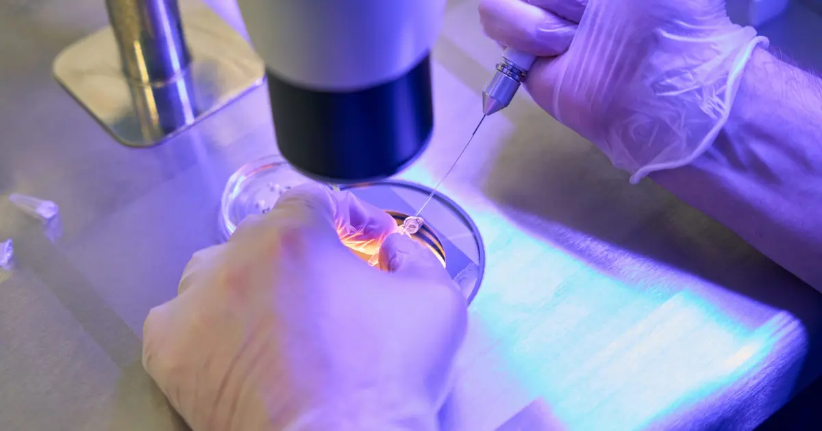 Tüp bebek tedavisinde umut. Yeni yöntem gizlenen yumurtaları buluyor