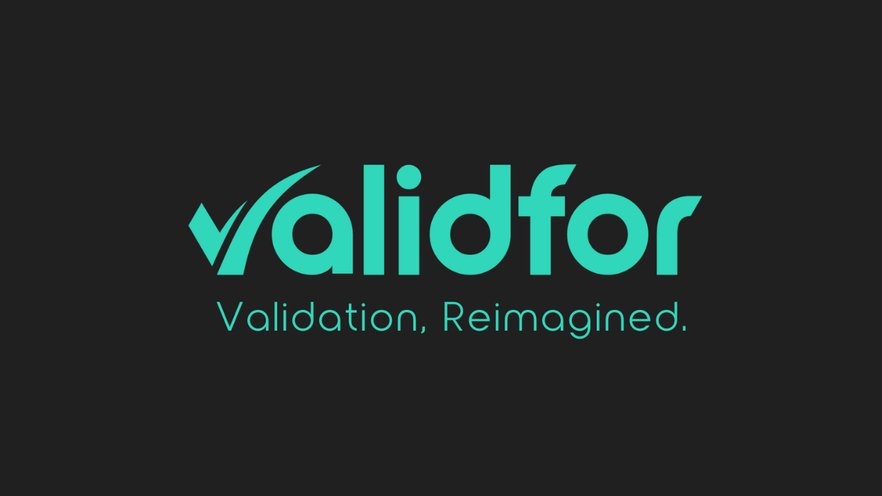 Validfor, DOMiNO Ventures liderliğinde 1.2 milyon dolar yatırım aldı