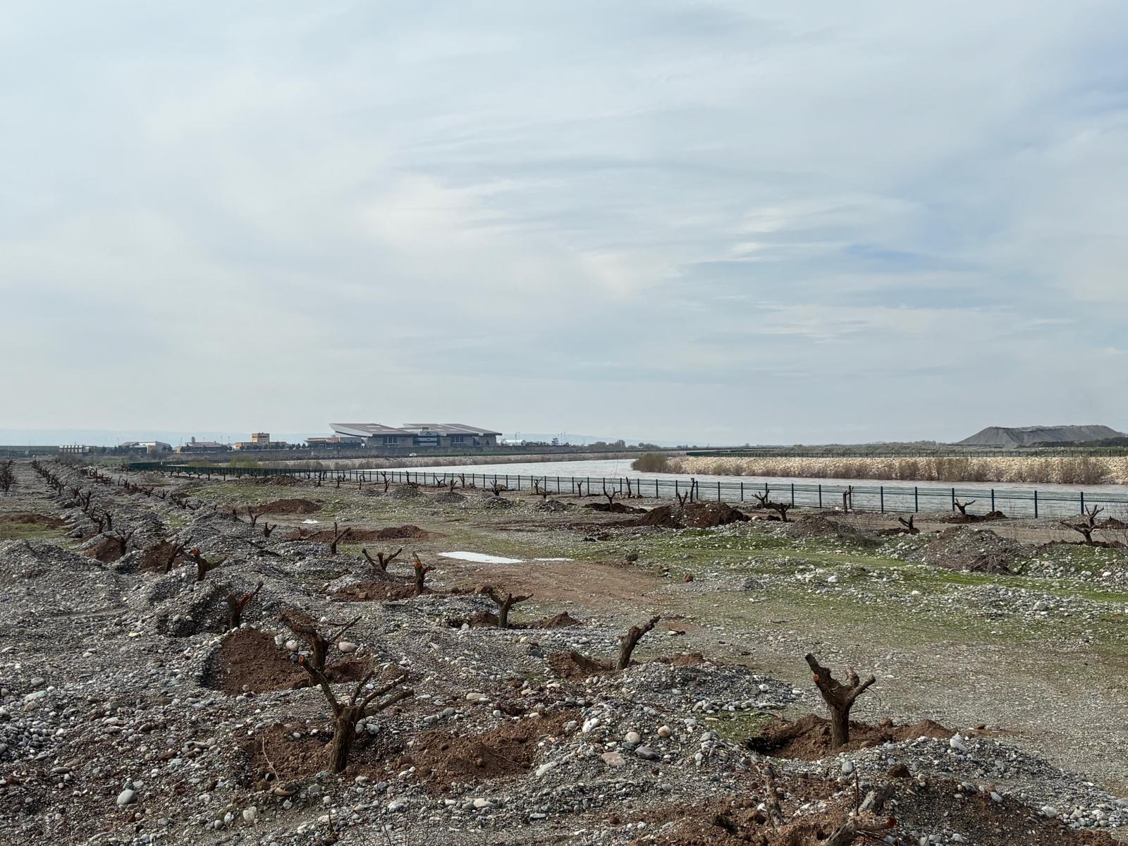 Batman Çayı’nda Meyve Ağaçlarıyla Yeşil Bir Gelecek