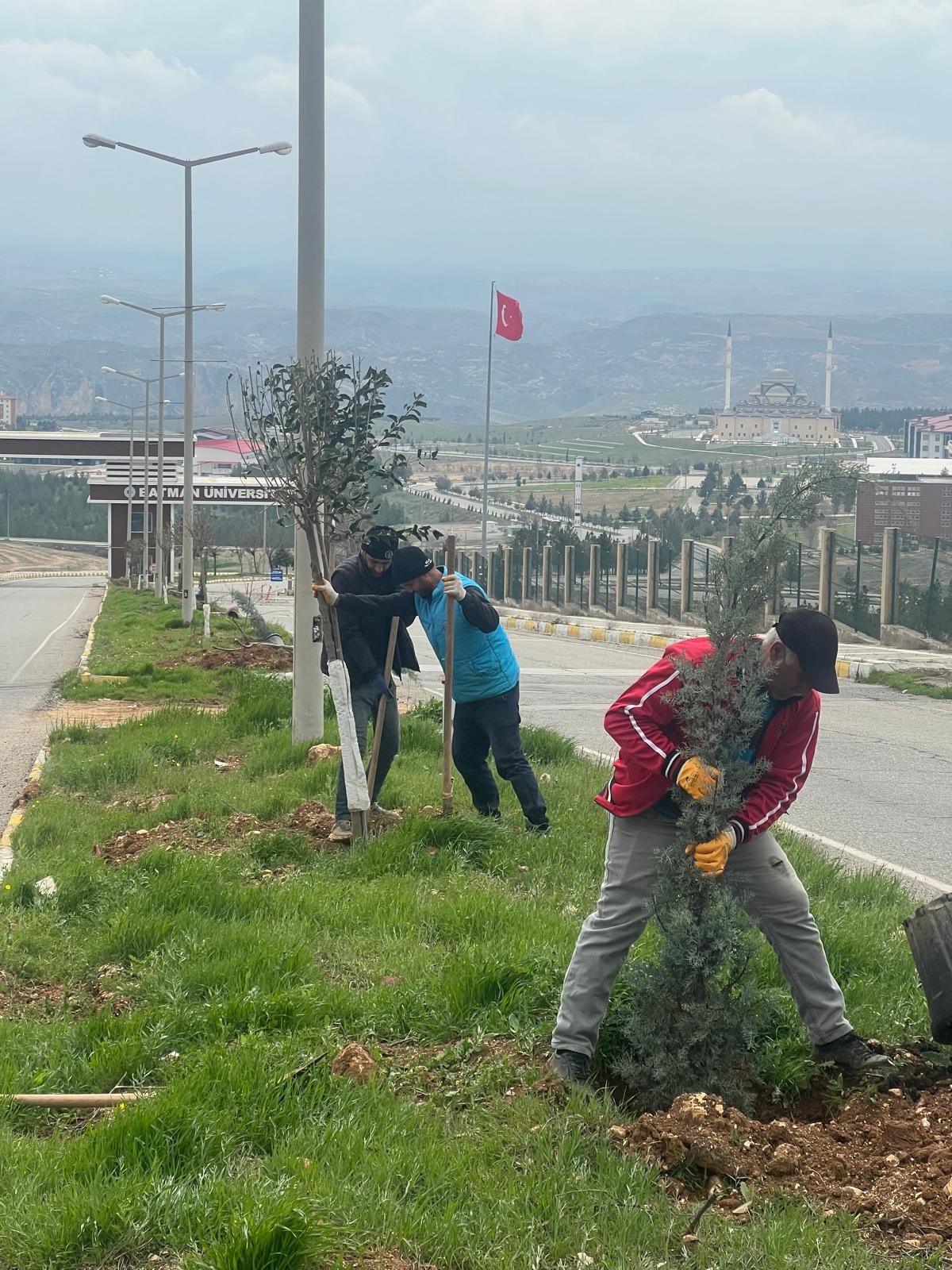Batman’da Ağaçlandırma Projesi: Geleceğe 1005 Yeni Nefes
