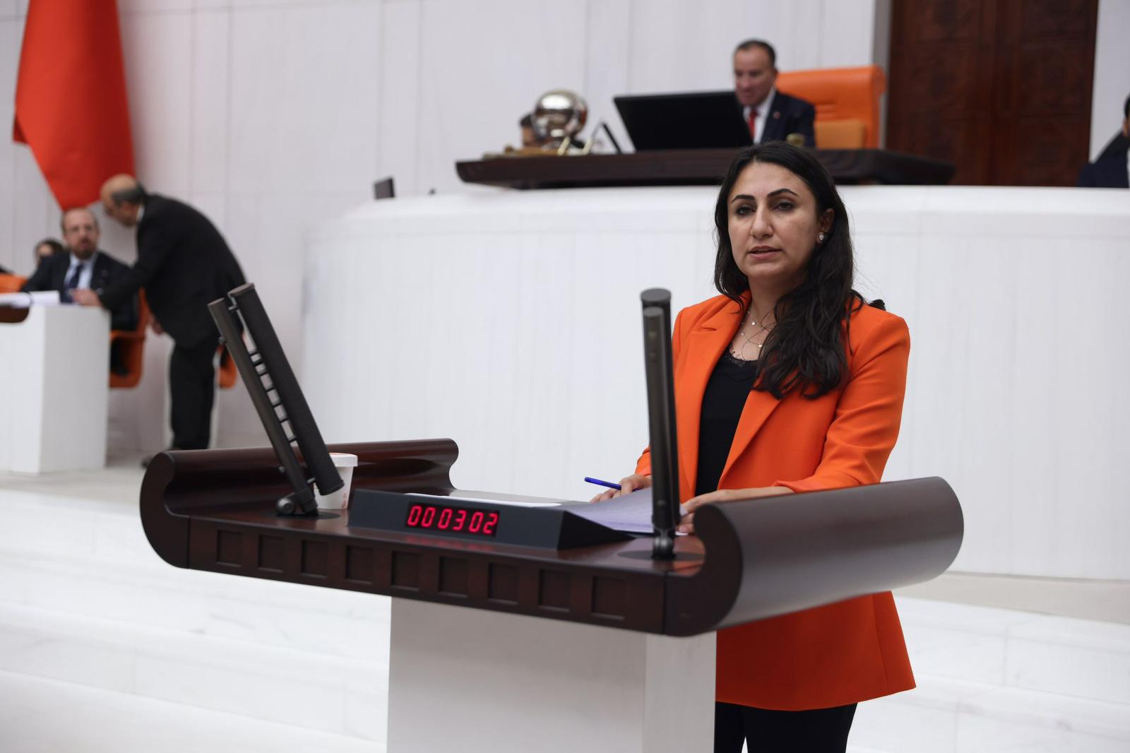 Batman’da Su Baskınlarına Tepki: Zeynep Oduncu Açıklamada Bulundu