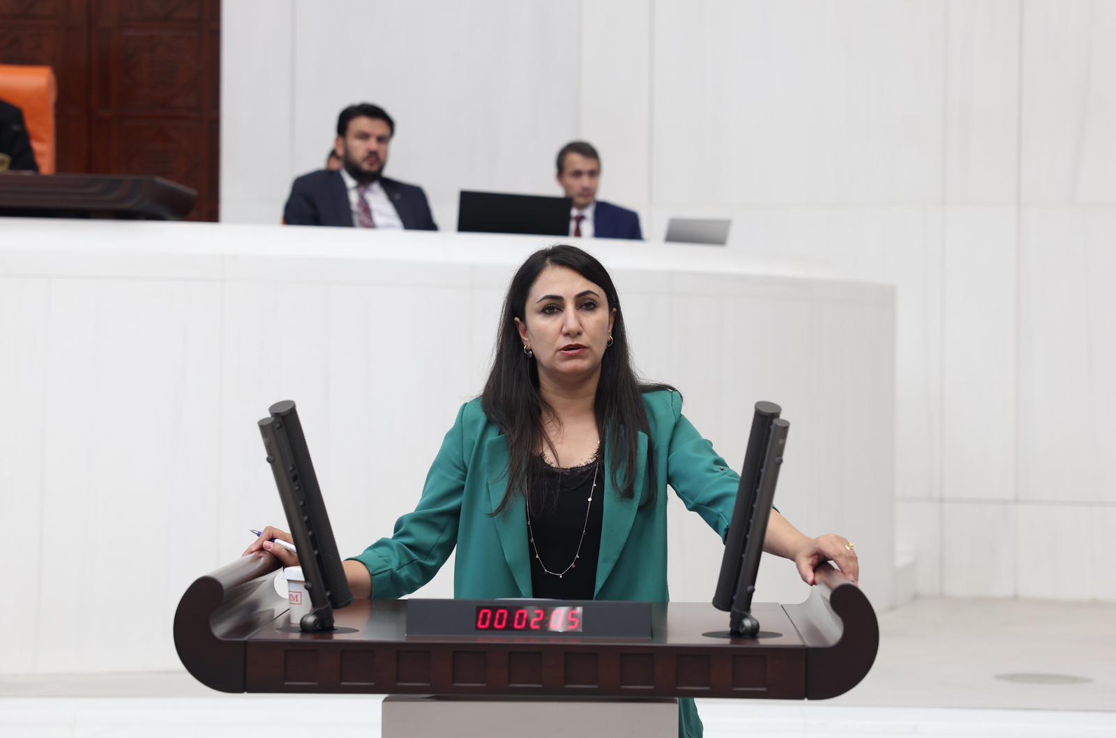 Batman İçin Acil Eylem Planı Talebi: Zeynep Oduncu’dan Kritik Açıklamalar