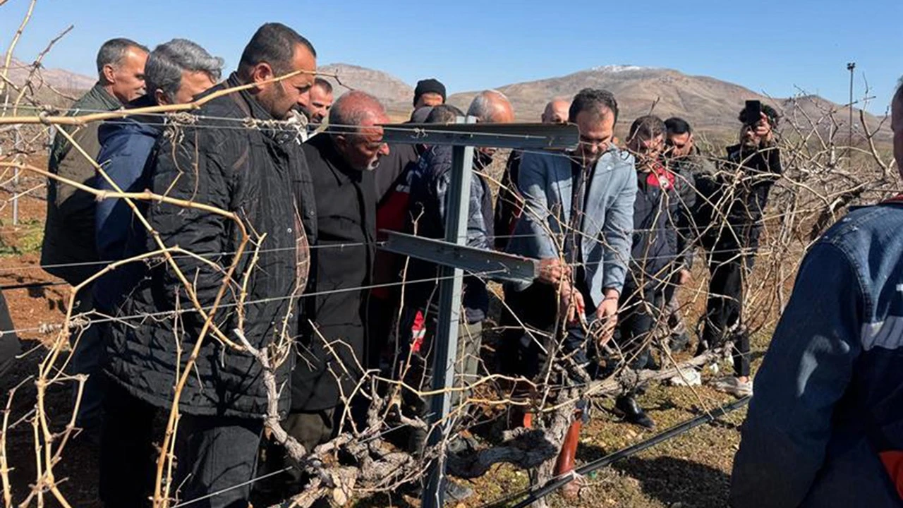 Gercüş’teki Bağcılık Sorunlarına Çözüm Arayışı