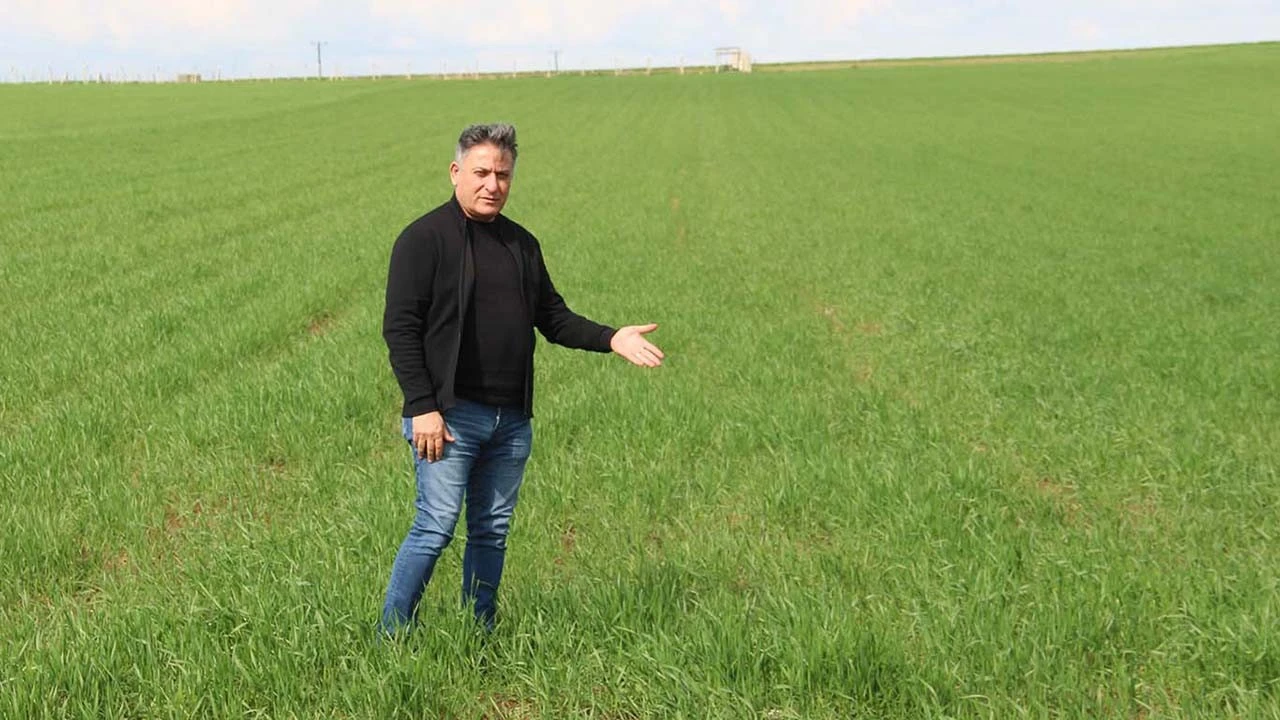 Yağışlar Çiftçileri Sevindirirken Riskler de Kapıda