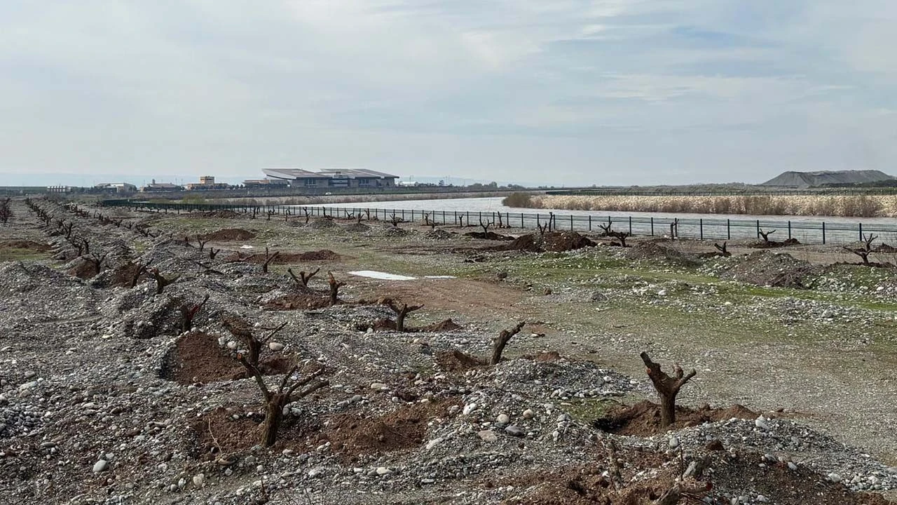 Batman Çayı Kenarında Yeşil Dönüşüm: 2 Bin Ağaç Fidanı Dikildi