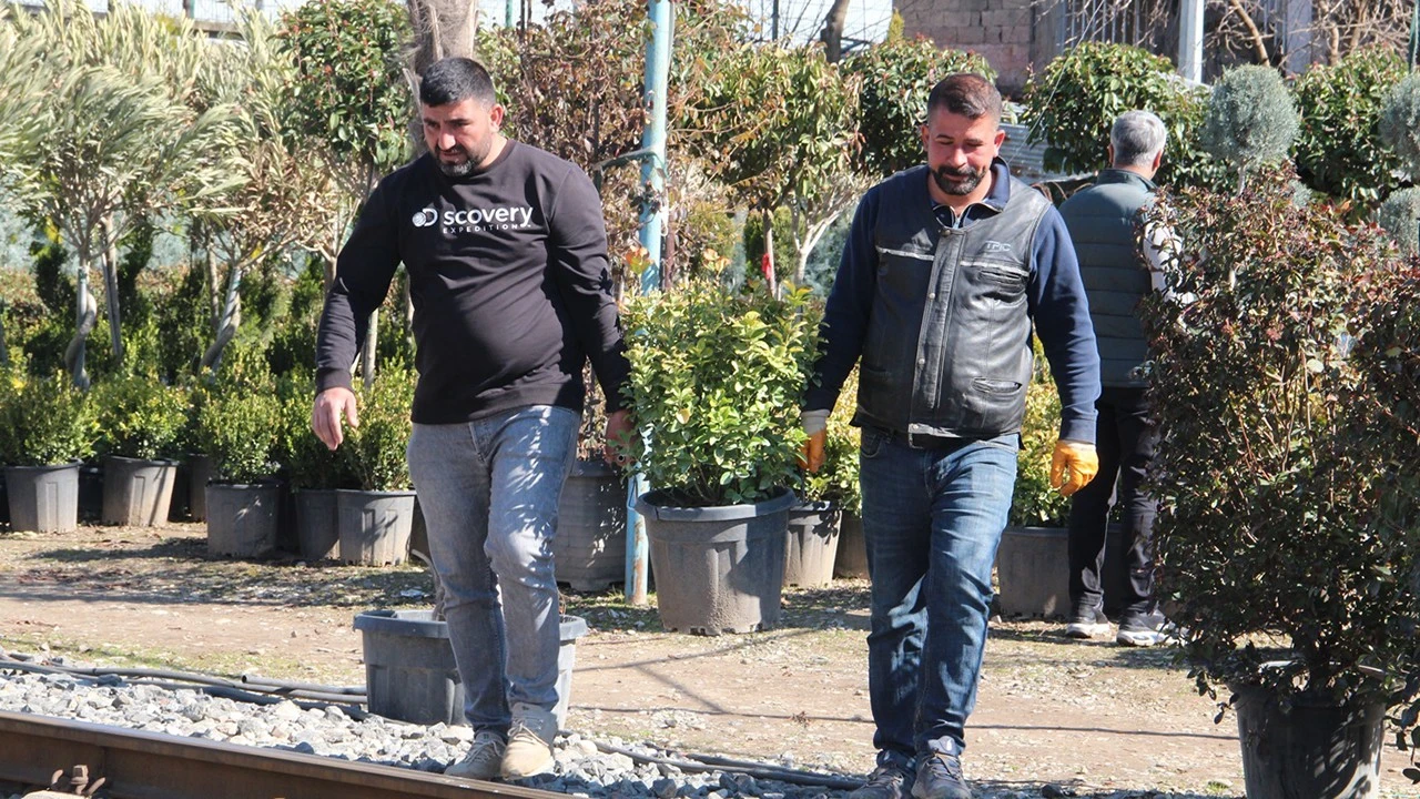 Batman’da Meyve Fidanı Dikim Sezonu Heyecanı Başladı