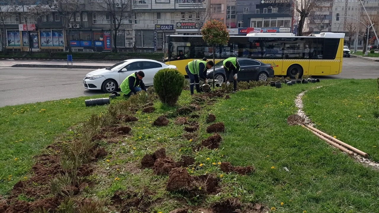 Batman’da Baharın Tazeliği ve Yeşil Yenilenme Süreci