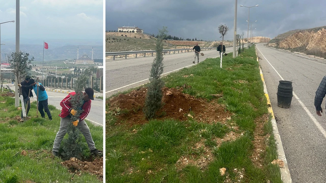 Batman’da 1005 Ağaçla Yeşil Koridor Oluşturuldu