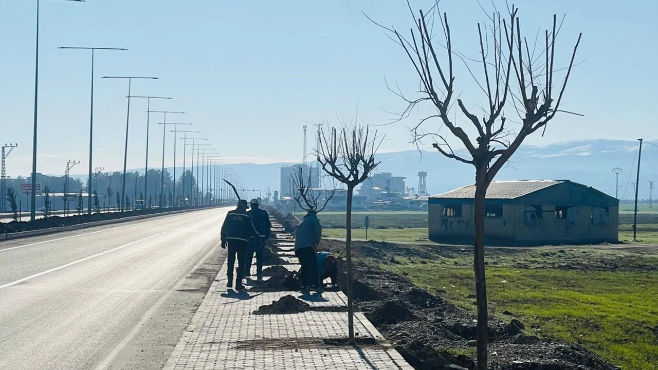 Hasankeyf Yolunda Yeni Yeşil Alanlar Oluşturuluyor