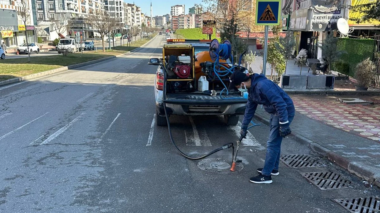Batman’da Haşere Mücadelesi İçin Yoğun İlaçlama Çalışmaları Başladı