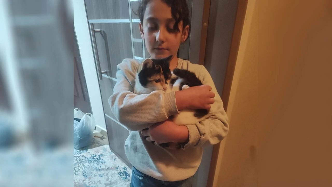 Batman’da Ağaçta Mahsur Kalan Kedi Kurtarıldı