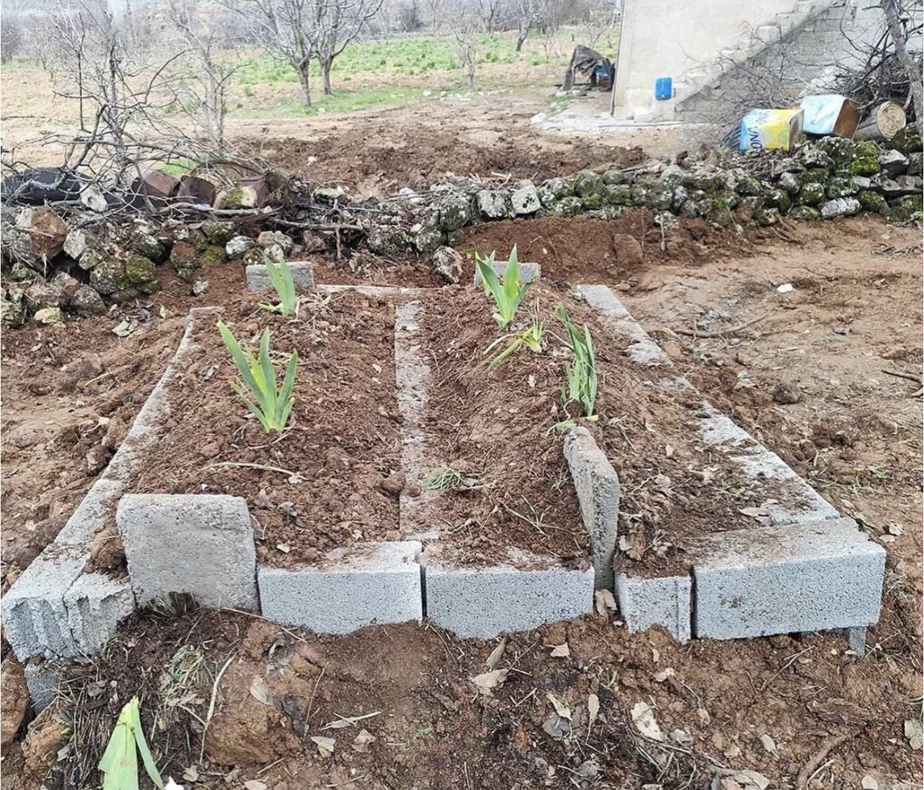 KAN DAVASI PEŞLERİNİ BIRAKMADI