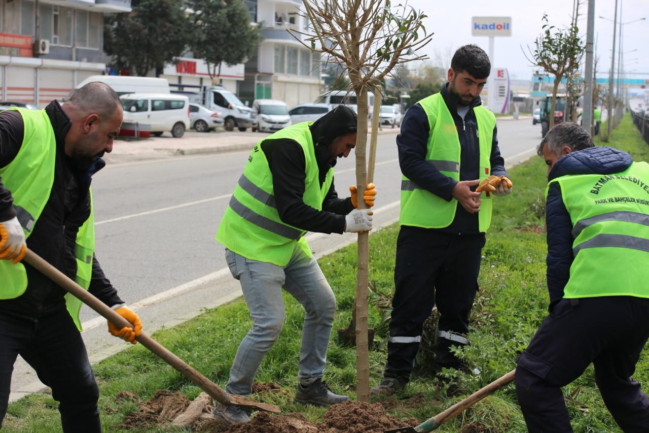 Batman’da Yeşil Alanlar İçin Ağaçlandırma Seferberliği Başladı