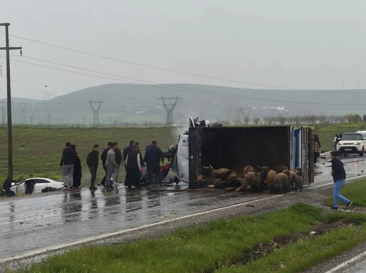 Batman-Kurtalan yolunda trafik kazası: 5 yaralı hastaneye kaldırıldı