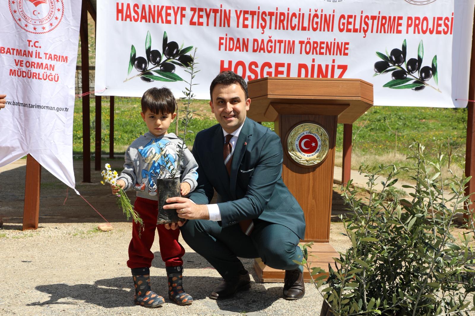 Hasankeyf’te Zeytin Fidanı Dağıtımı Hız Kazandı