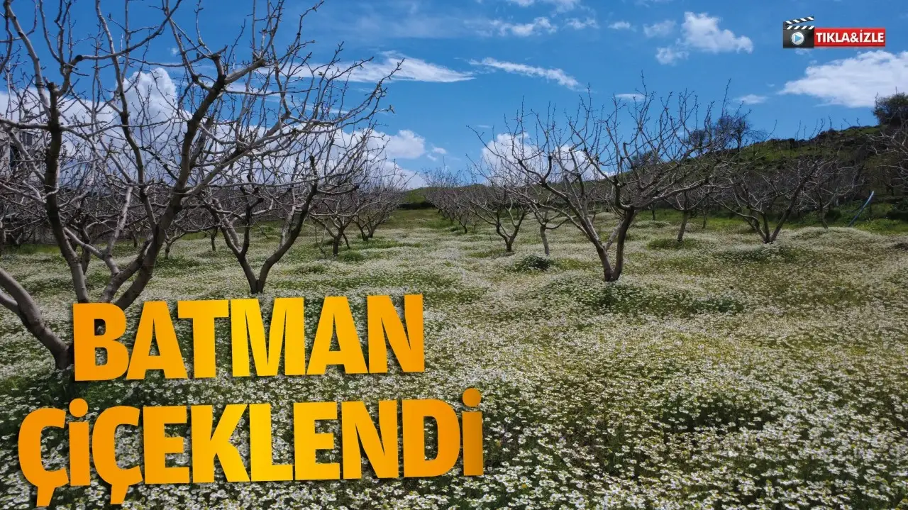 Batman’ın Tarım Arazileri Renkleniyor: İlkbahar Güzellikleri