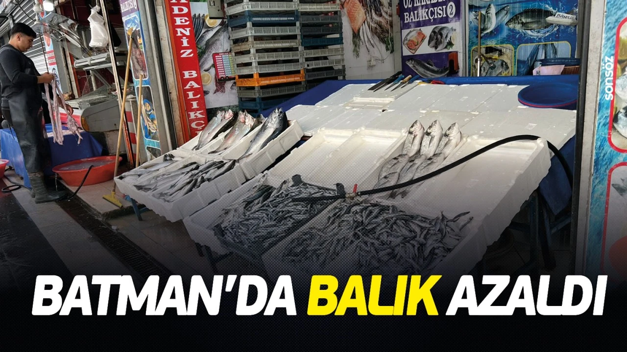 Batman’da Balık Popülasyonu Düşüşte: Fiyatlar Yükseliyor