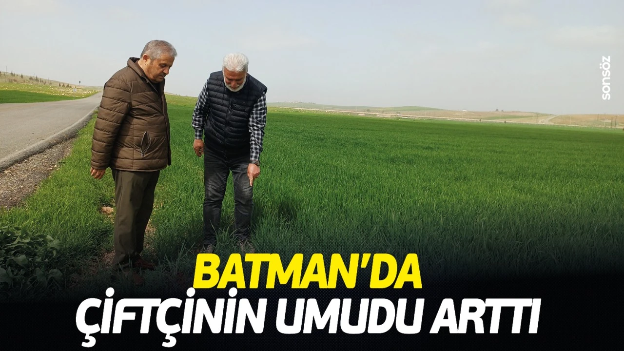 Batman’da Çiftçilerin Umudu Yağışlarla Birlikte Yeniden Yeşerdi