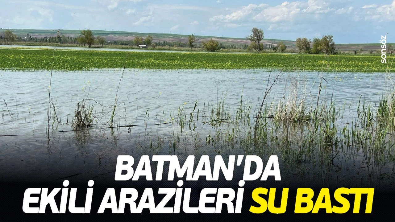 Zorköy’de Su Baskını: Çiftçiler Zarar Görüyor