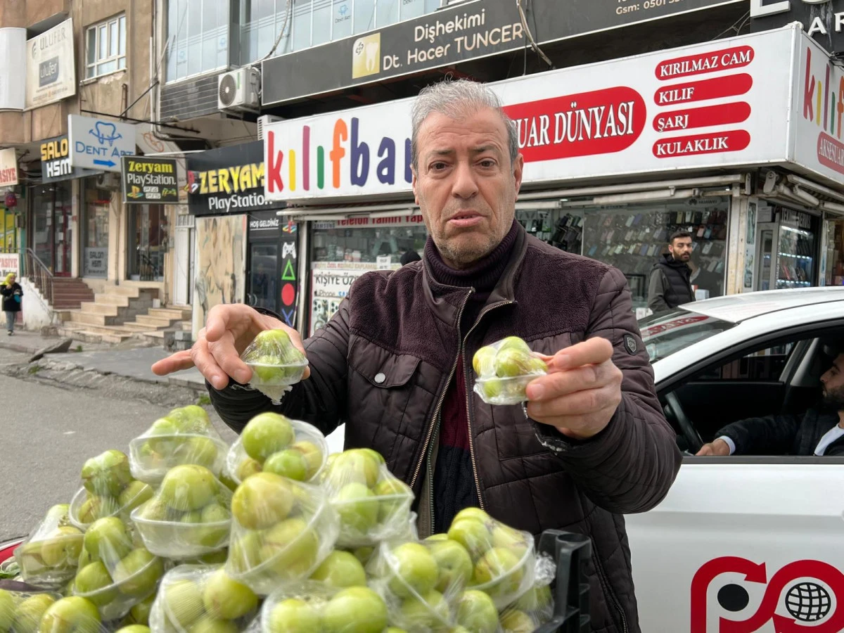 Batman’da 5 Adet Erik İçin 100 Lira Ödeniyor