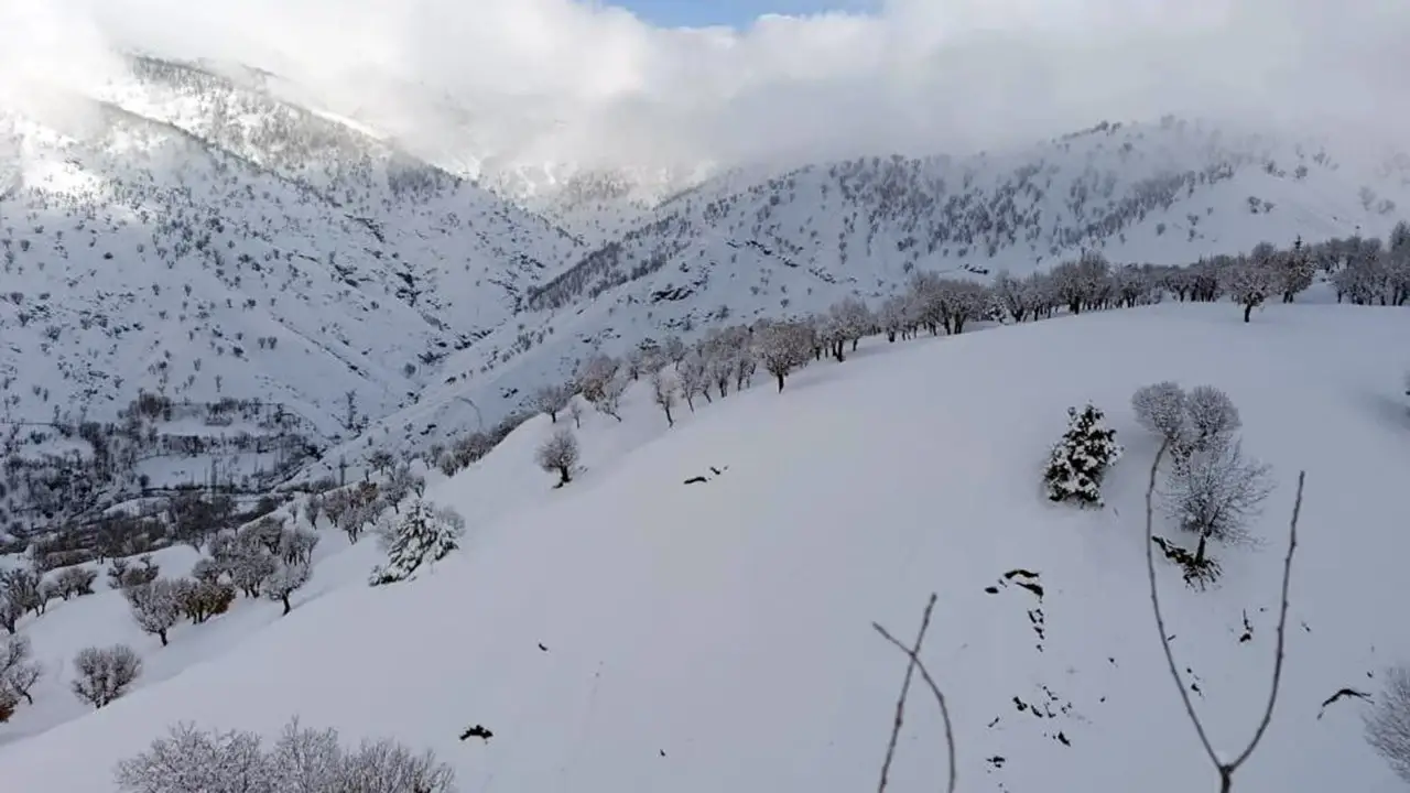 Bahar Geldi, Kar Yağışı Besicileri Üzüyor