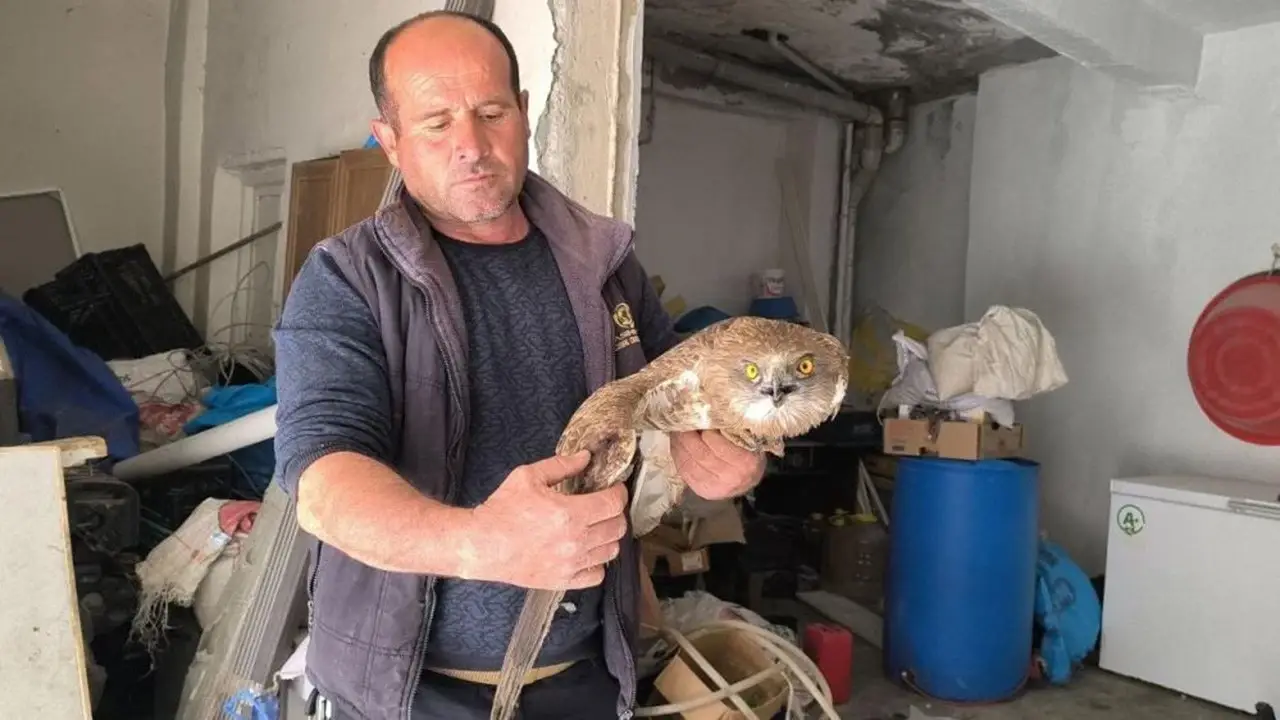 Gercüş’te Yaralı Kızıl Şahin İçin Umut Işığı Oldu