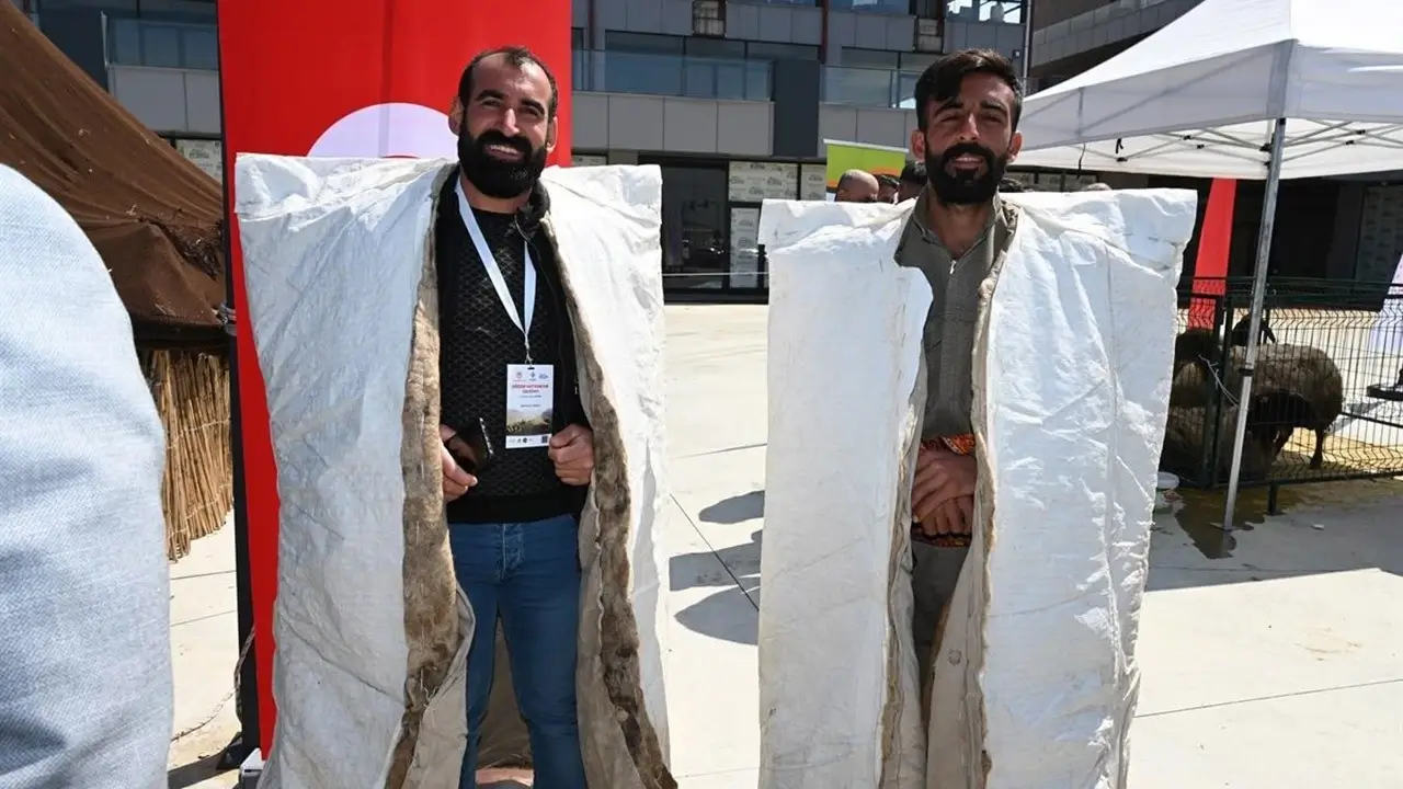 Batman’da Göçebe Hayvancılık İçin Yeni Çözümler Geliştirildi