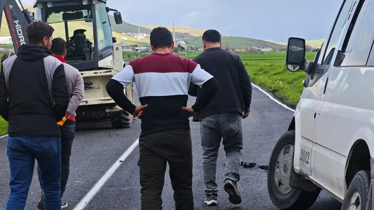 Başıboş Köpekler Trafik Kazasına Neden Oldu