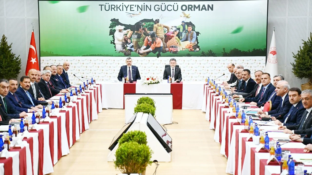 Batman’da Orman Yangınlarıyla Mücadele Zirvesi Toplandı