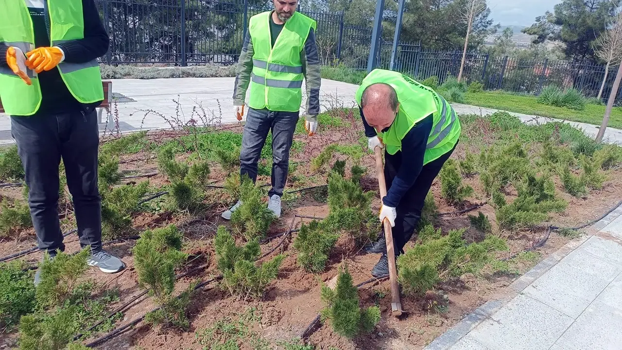 Batman’da Yeşil Alanların Bahar Bakımı Başladı