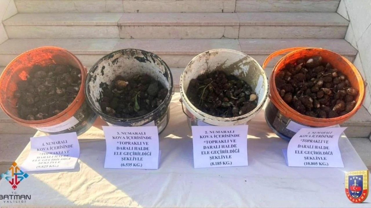 Sason’da Endemik Bitki Sökümüne Geçit Yok