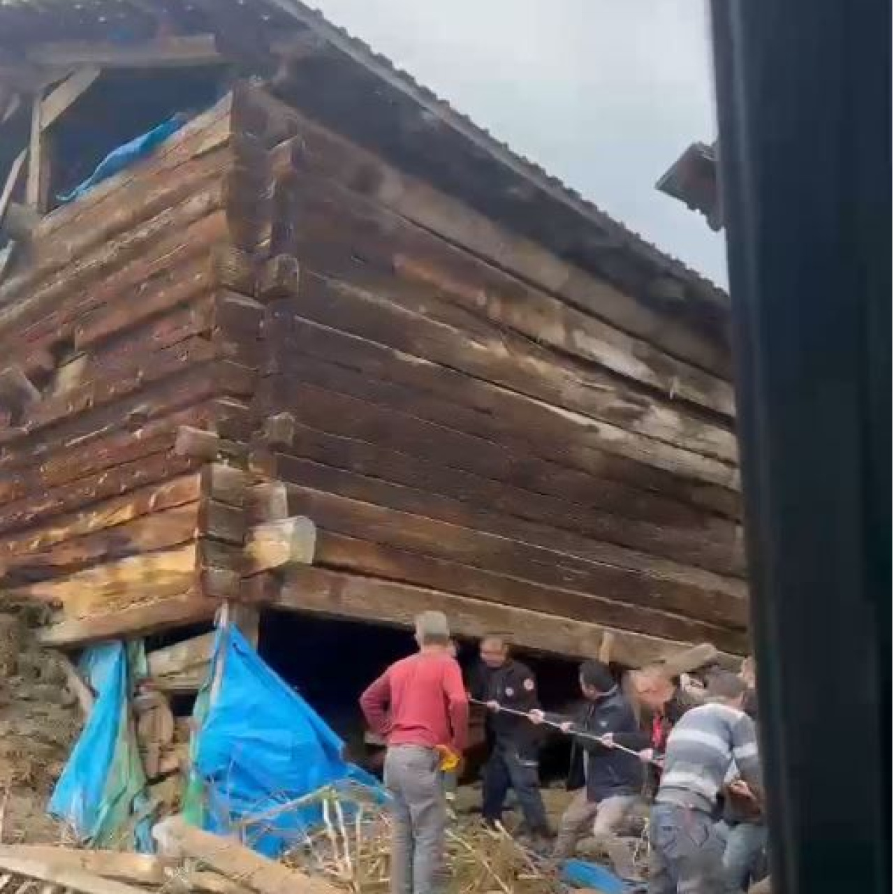 Kastamonu’da Ahır Göçtü: 1 Ölü, 94 Hayvan Telef Oldu
